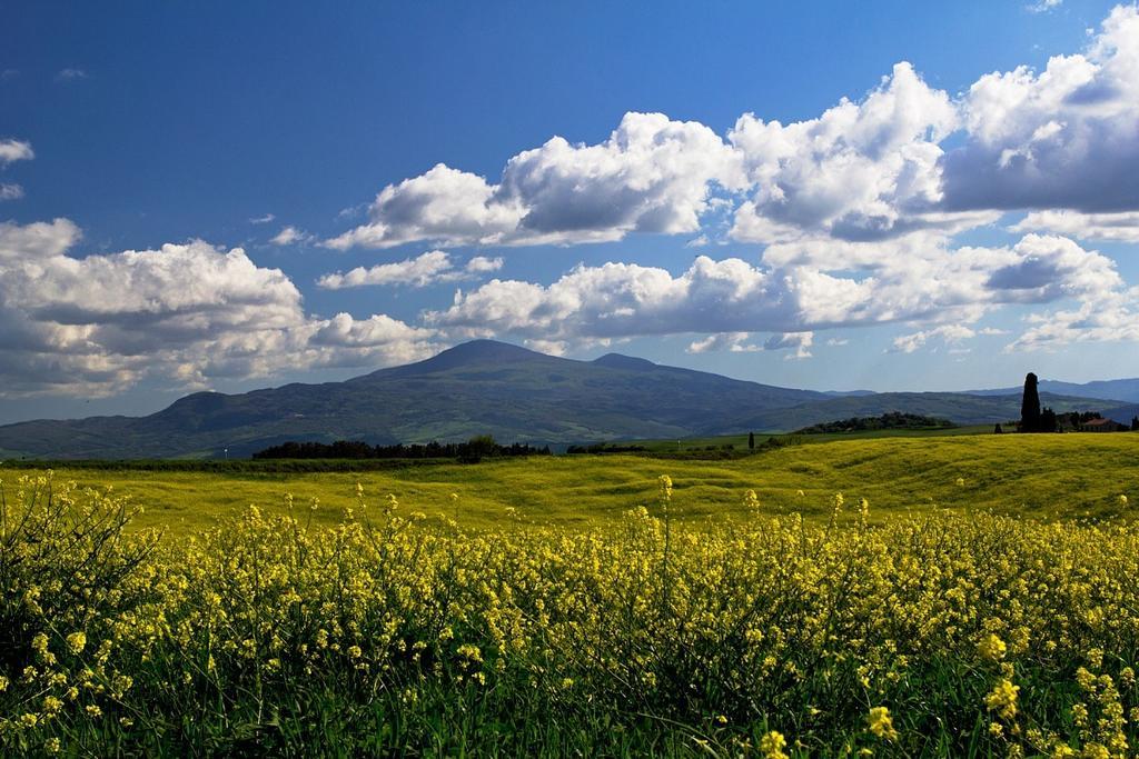 Casetta Del Pozzo Seggiano Номер фото
